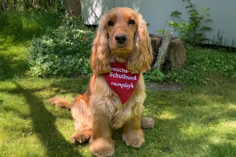 Tiergestützte Pädagogik